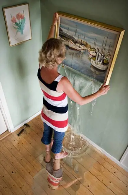 Immagine gallery