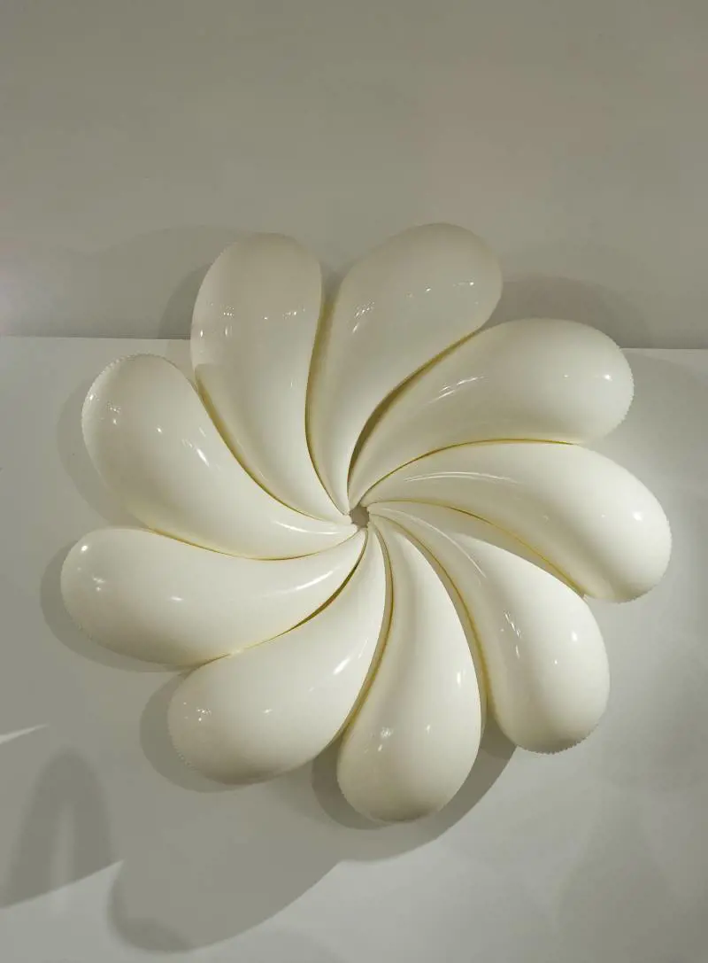 Immagine gallery
