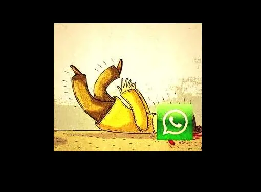 Immagine gallery