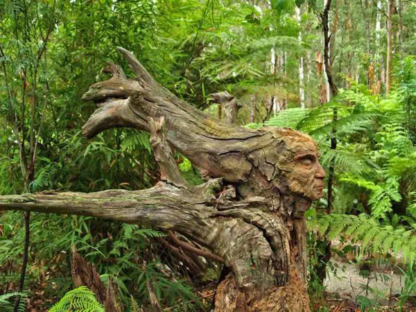 Immagine gallery