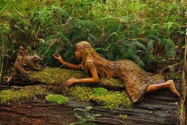 Immagine gallery