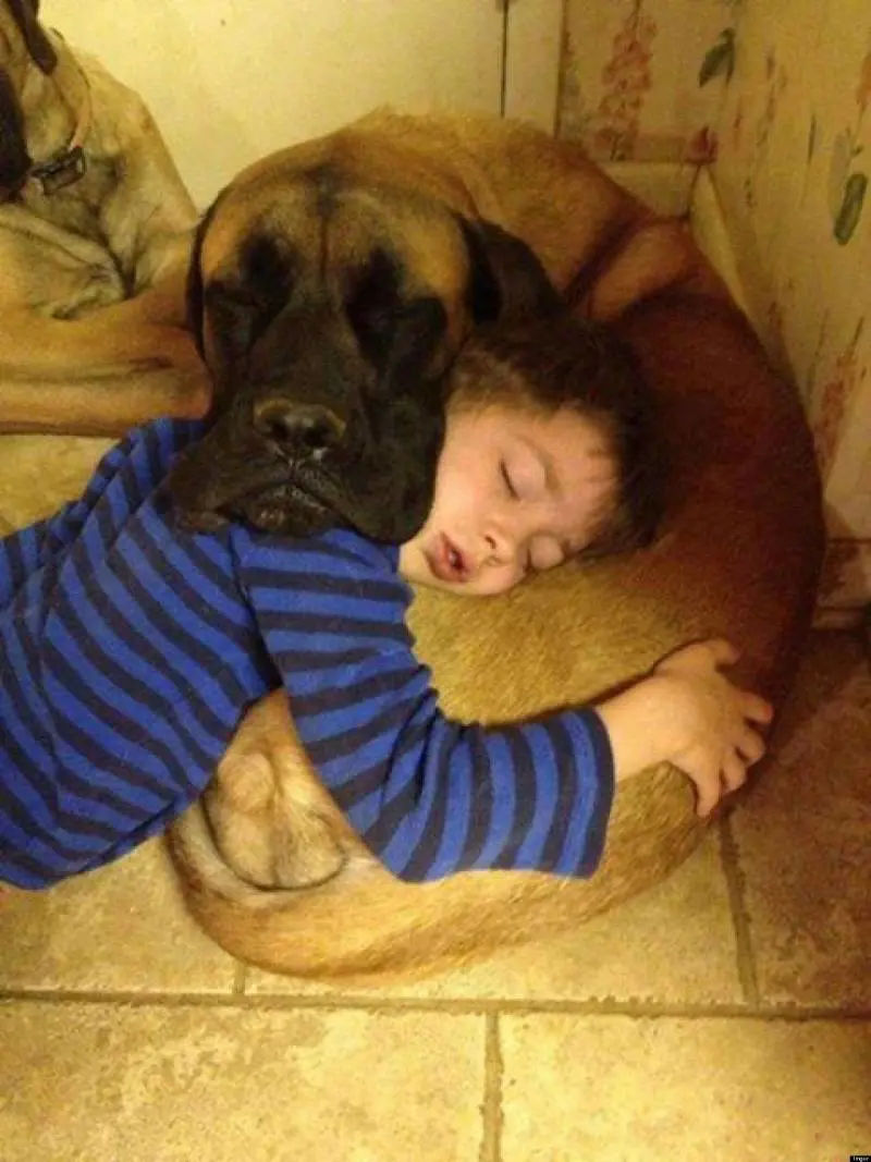 Uomo e cane, un amore che dura da 40mila anni