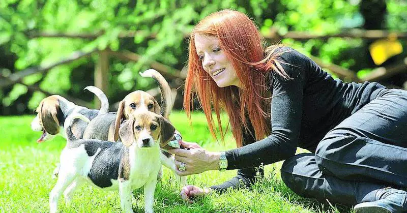 Michela Vittoria Brambilla: «La nuova legge ci pone all'avanguardia in Europa»«Svolta sulla vivisezione: mai più abusi in Italia»L'intervista Michela Vittoria Brambilla