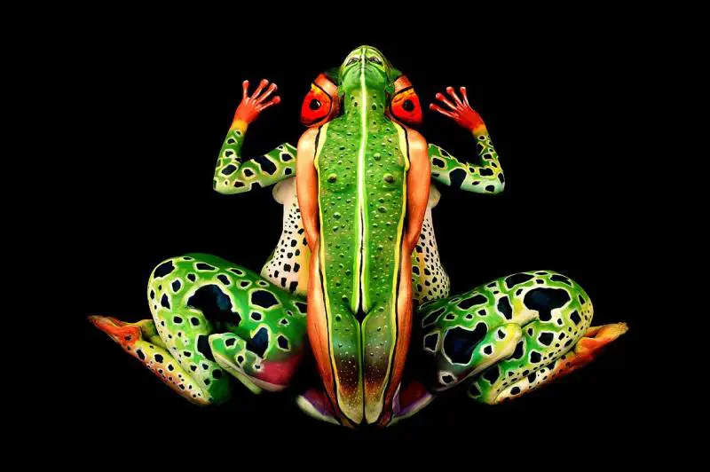 Immagine gallery