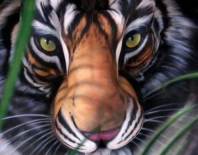 Immagine gallery