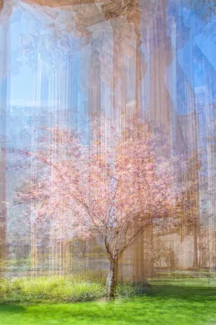 Immagine gallery