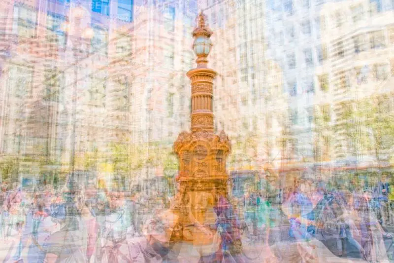 Immagine gallery