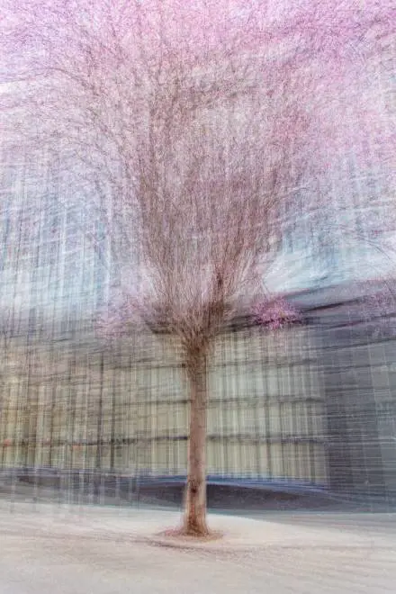 Immagine gallery
