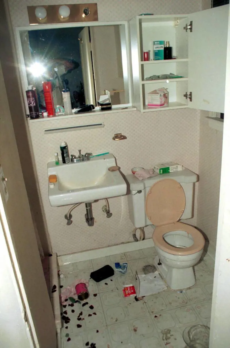 Immagine gallery