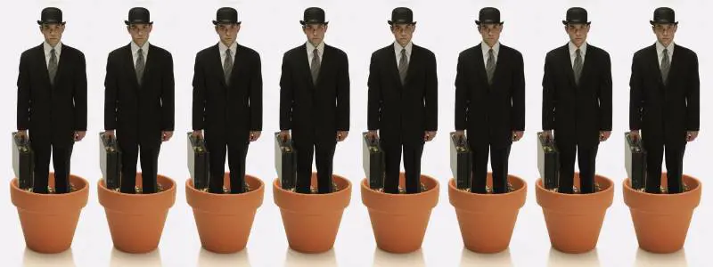 Magistrati, diplomatici, funzionari: gli eccessi degli stipendi pubblici
