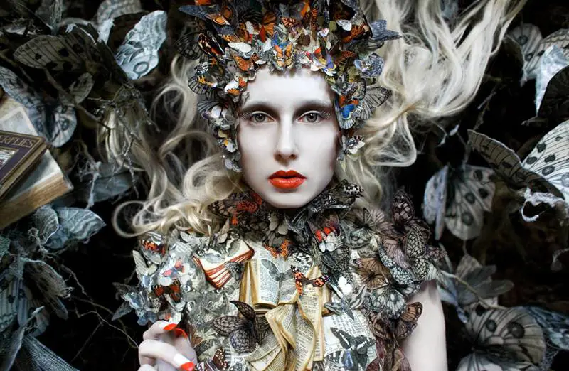 Immagine gallery