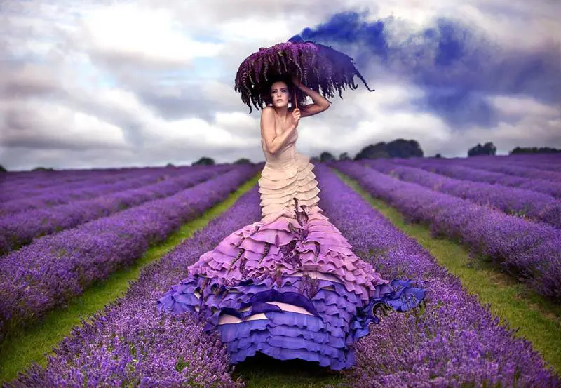 Immagine gallery