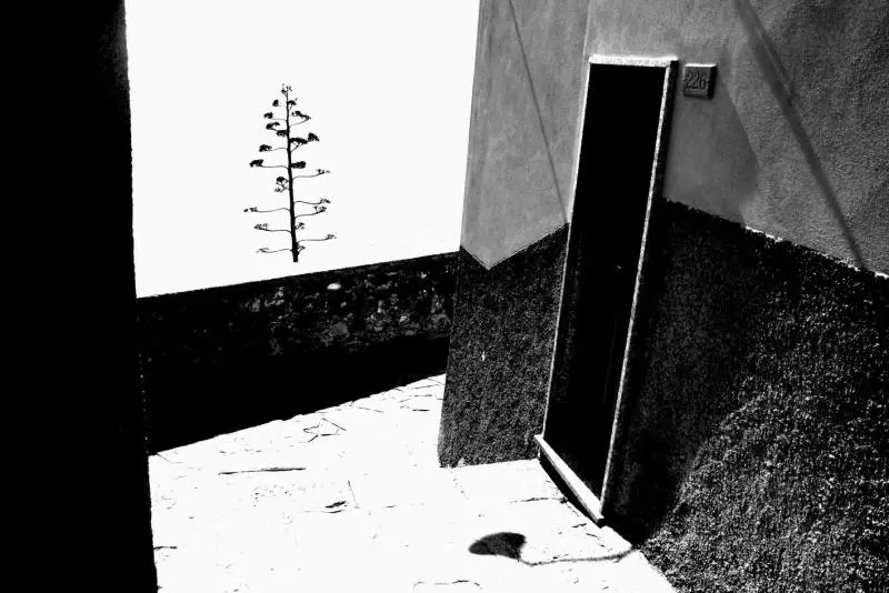 Immagine gallery