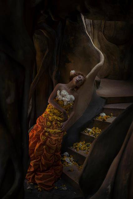 Immagine gallery