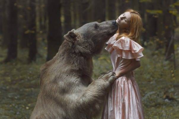 Immagine gallery