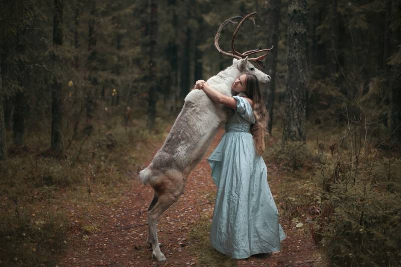Immagine gallery