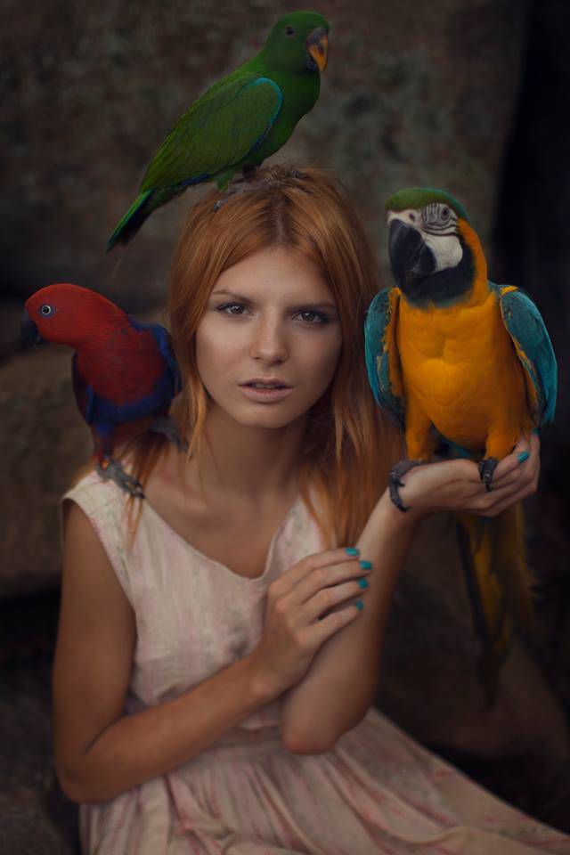 Immagine gallery