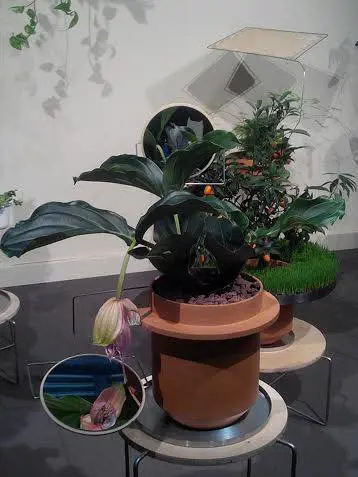Il SaloneSatellite: una vetrina per giovani creativi