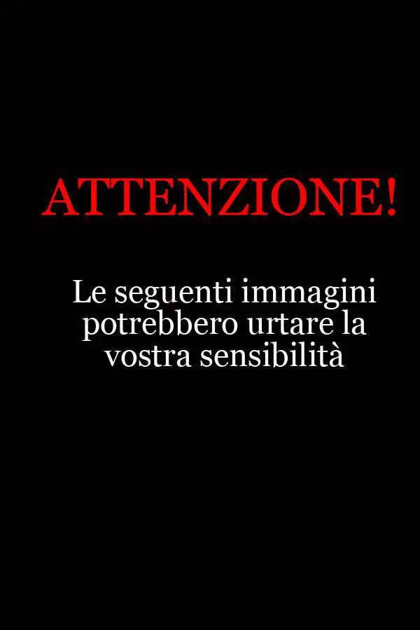 Immagine gallery