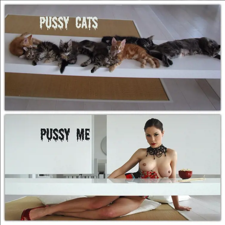 Immagine gallery