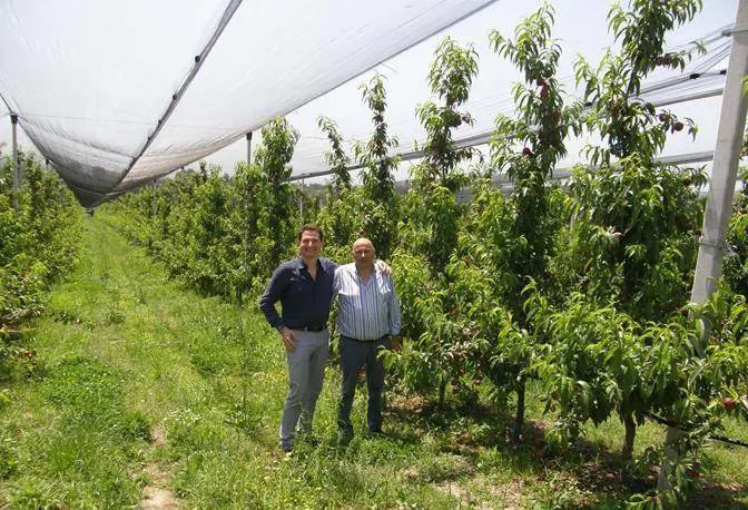 Agguato sulla A1: freddato il "re della mela annurca"