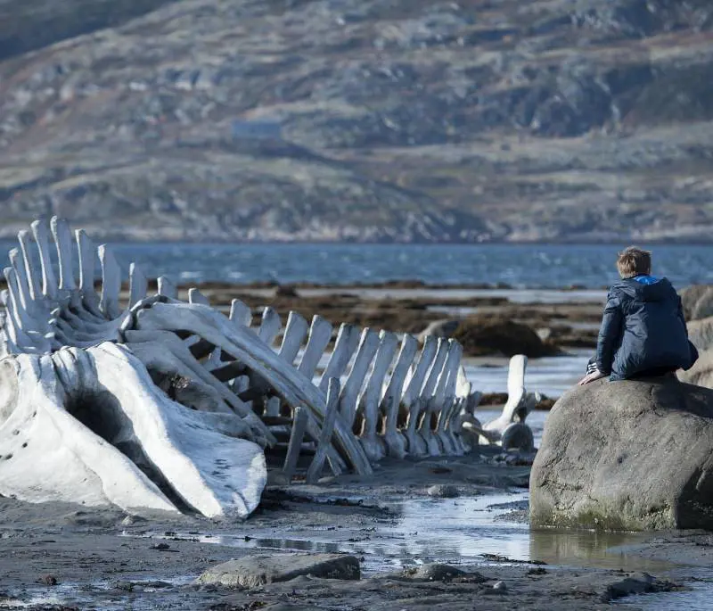 Una settimana al cinema col meglio dalla Croisette