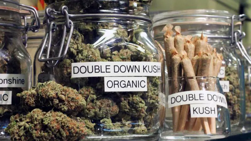 Colorado, i biscottini alla marijuana vanno a ruba pure tra i bimbi