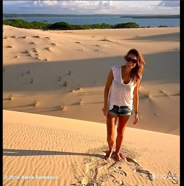 Immagine gallery