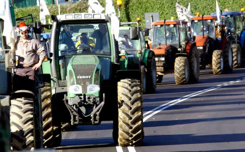 Stangata all'imprenditore: "1 milione e mezzo da pagare in 5 giorni per le quote latte"