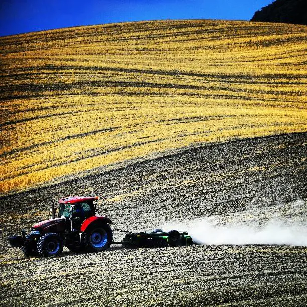 pierogiamp (Giampiero Corsini)