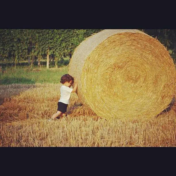 paolettafa (Paola Fassino)