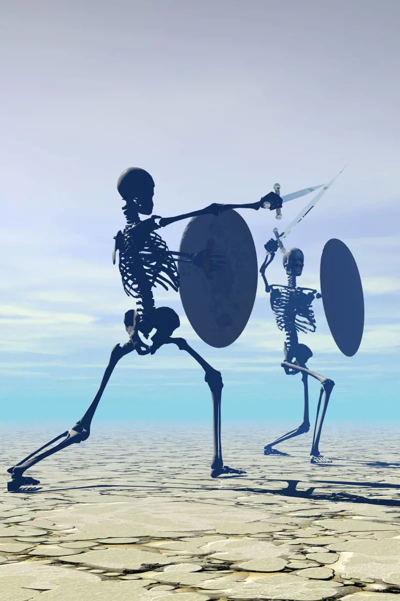 Coraggio e rispetto Quando la vita è un duello infinito