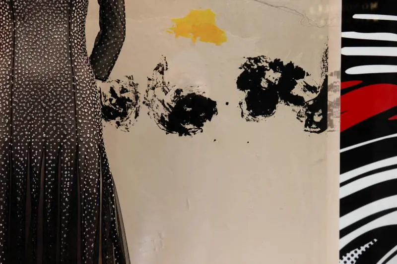 Immagine gallery