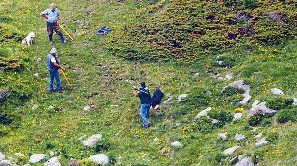 Massacrarono il cane con pietre e bastoni: denunciati i due allevatori