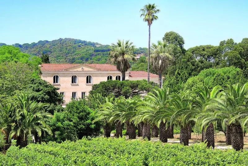 Macchia mediterranea con vista: Saint-Tropez e la sua dolce vita