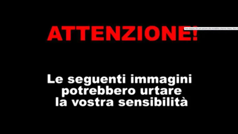 Immagine gallery