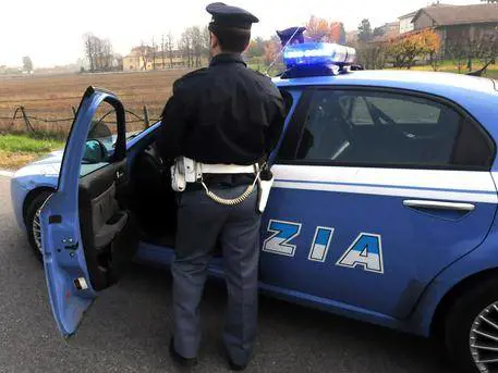Topi d'appartamento, come difendersi quando si è in casa