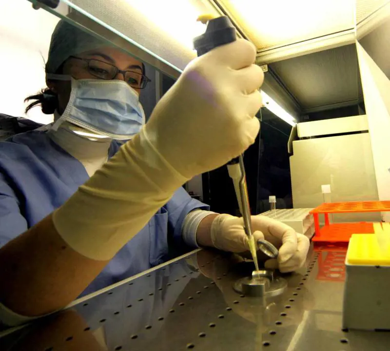 Nuova frontiera della fecondazione: ovociti e spermatozooi dalla pelle