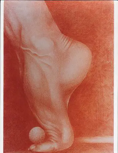 Immagine gallery