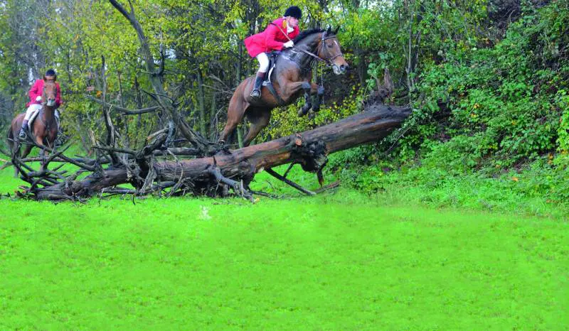 Via alla caccia a cavallo (ma la volpe non c'è più)