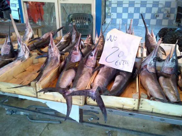 Roma, 1.235 euro per una cena di pesce 