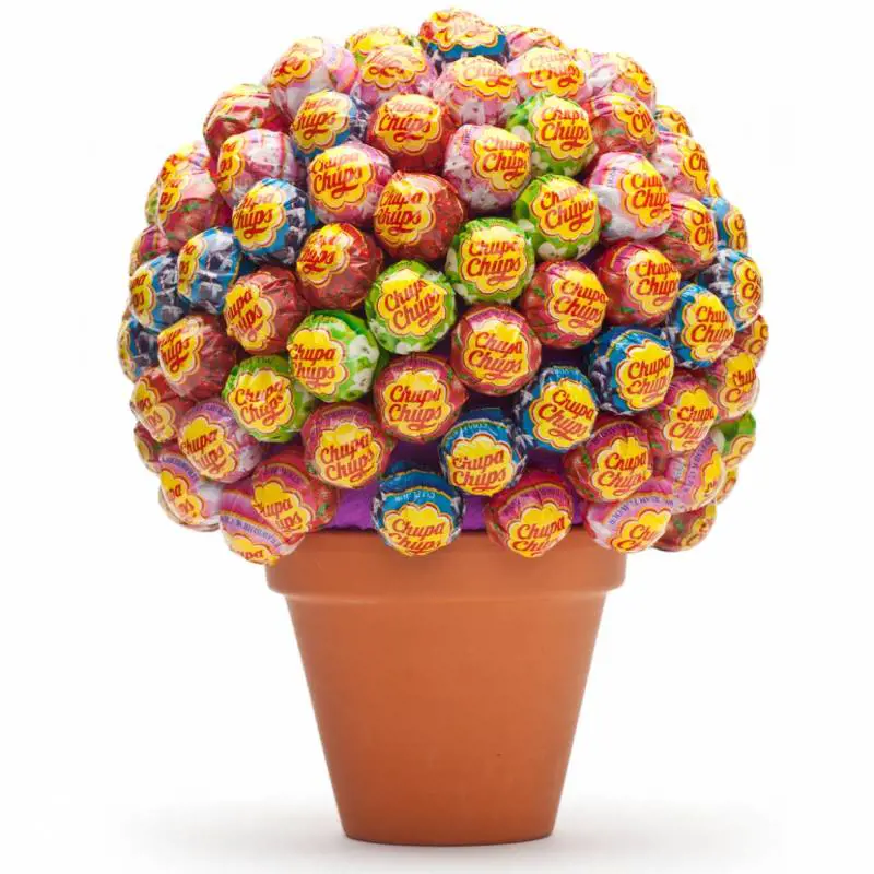 Albero Di Leccalecca - 39 euro 