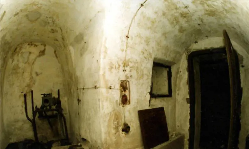 Immagine gallery
