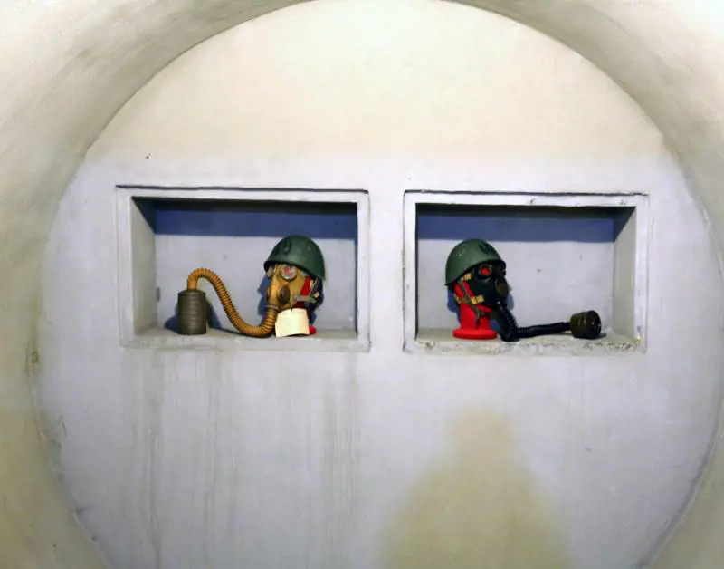 Immagine gallery