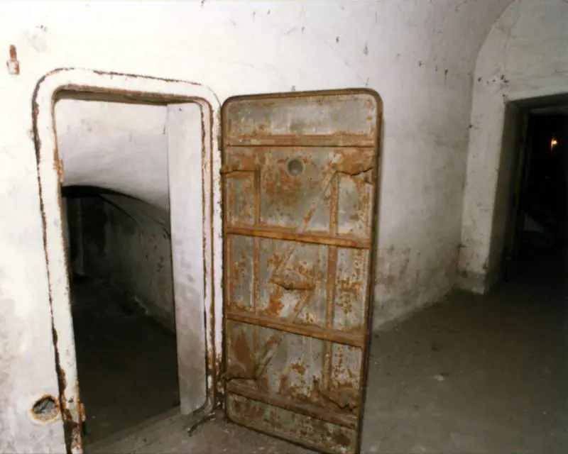 Immagine gallery