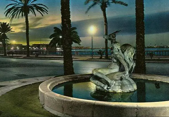 Immagine gallery