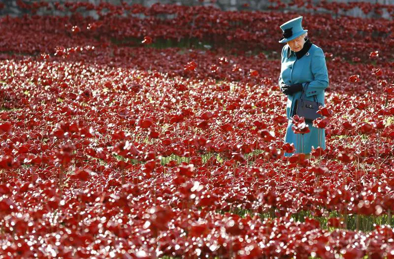 Elisabetta II alla Torre di Londra. Un campo di papaveri di ceramica ricorda il centenario della I guerra mondiale