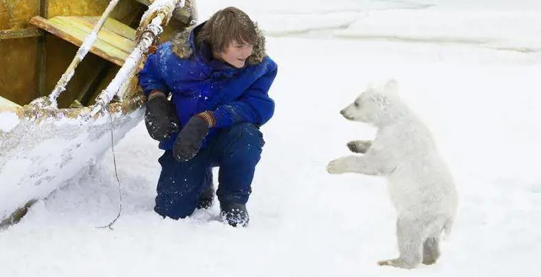 Nanuk, un piccolo orso bianco per amico