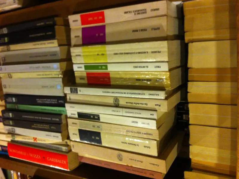 Nelle librerie del Fascio