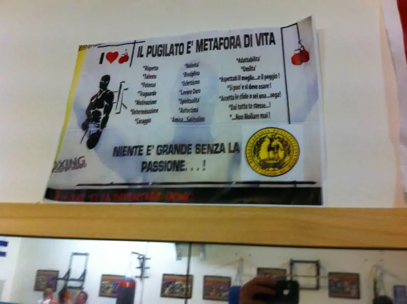 Immagine gallery